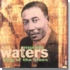 A Tribute to Muddy Waters